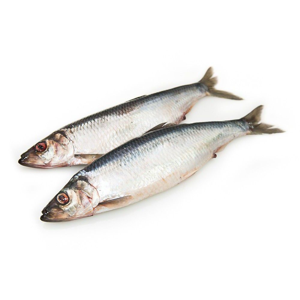 Судак филе с/м,