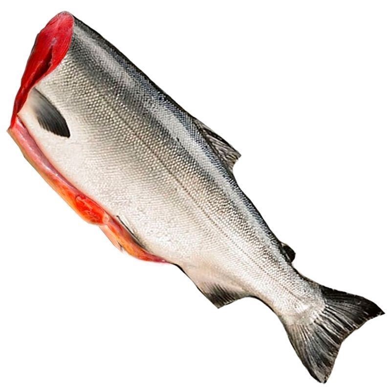 Лосось (Сёмга) с/м 3-4 кг,